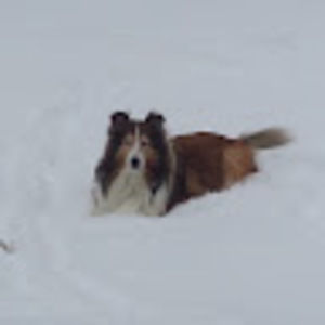 Meet your Posher, Matt